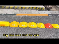 طائر طريق عيون القط الكبيرة